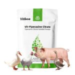 100g odorless distilled alum powder with product name covering underarm odor and foot odor