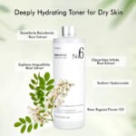 Losyen Pembersih Mengimbangi, Formula Baru, Toner Pembersih Imbangan