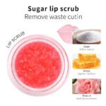 LCHEAR Yinghutrangrun Lip Balm Lanolin E477 Moisturizing, Hydrating and Nourishing Ladies Lip Balm S - view 4