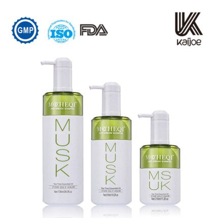 Silicone-Free Shampoo Ginger Nourishing Shampoo Oil Control Volumizing Anti-Dandruff Conditioner Hai